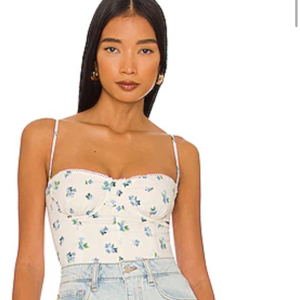 Moving Sale: NWOT Blue Floral WeWoreWhat Corset Top